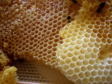 Honey-comb